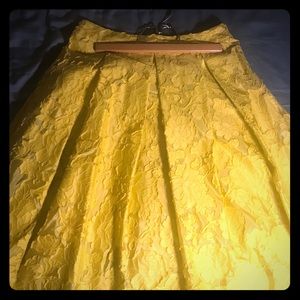 Bright Green Pleated Circle Skirt NWT